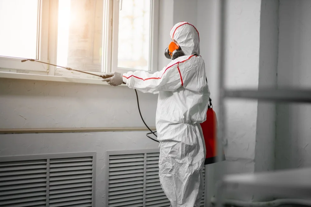Professional mold remediation services in Horicon, WI